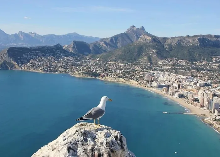 Apartment Arenal 3 - Plusholidays *